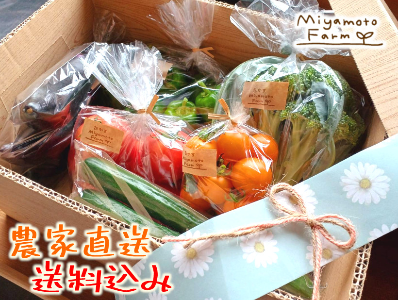 【お試し】北海道たかす町旬野菜